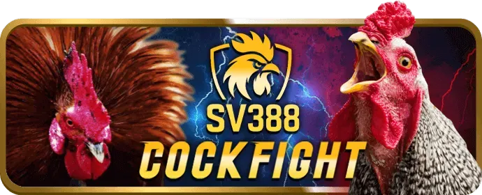 Trải nghiệm cá cược liền mạch trên mọi thiết bị tại 4twbet casino
